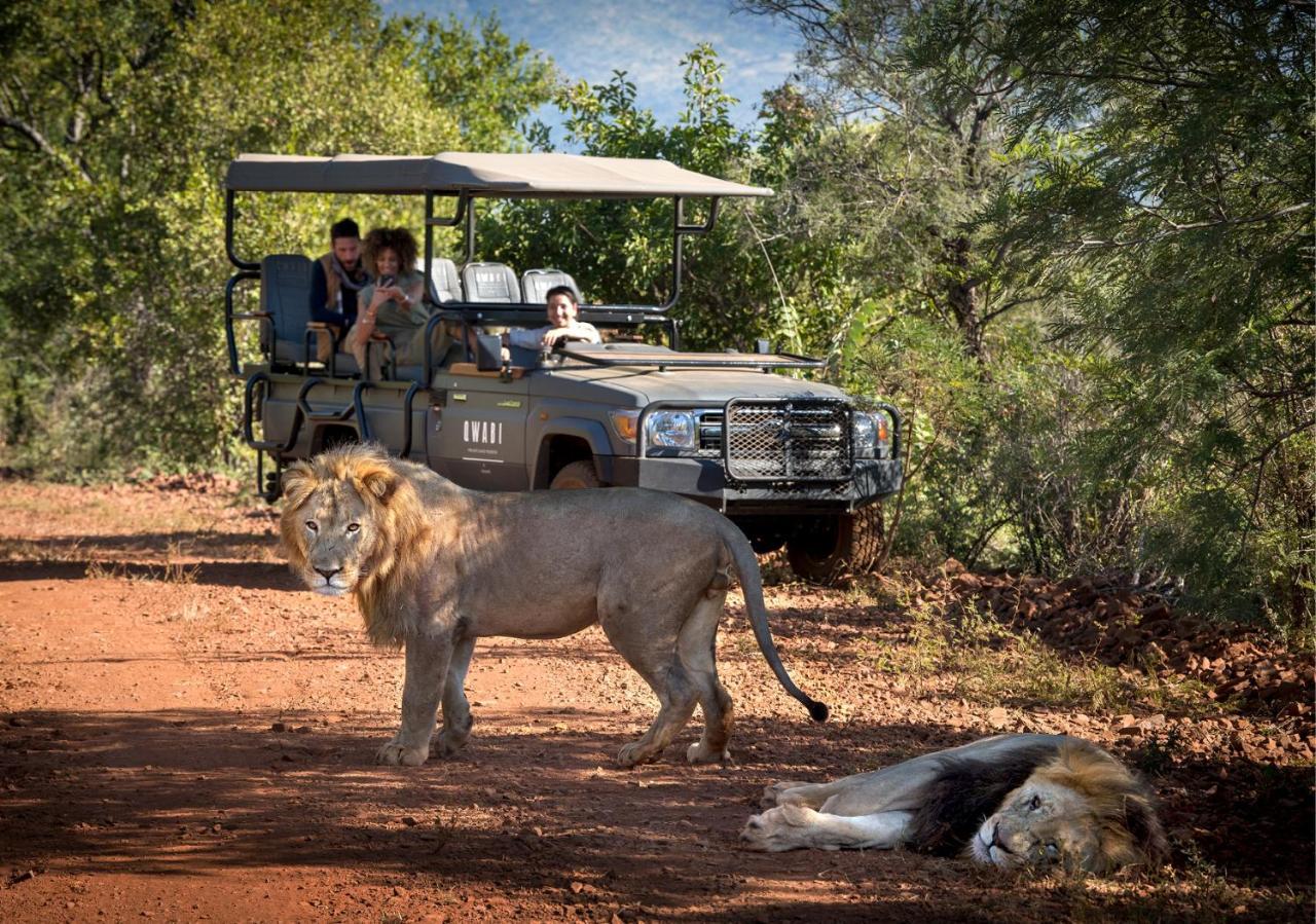 Babohi At Qwabi Private Game Reserve By Newmark Bela-Bela Exterior foto